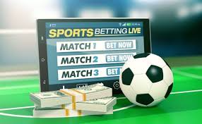Exploring the Exciting World of v7v7bet Your Ultimate Betting Partner Exploring the Exciting World of v7v7bet Your Ultimate Betting Partner