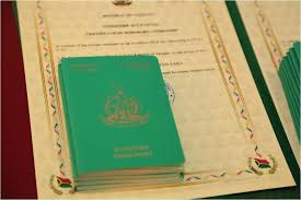 Understanding Vanuatu Passport Fees A Comprehensive Overview